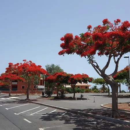 Apartament Apartments Benimar Adeje
